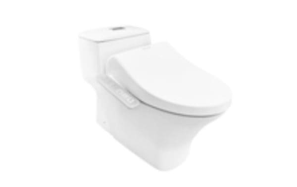 Bàn Cầu 1 Khối Nắp Rửa Cơ AMERICAN STANDARD VF-2010S