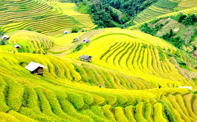 Tỉnh Yên Bái